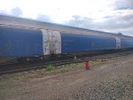 CPS FLT-034768-0